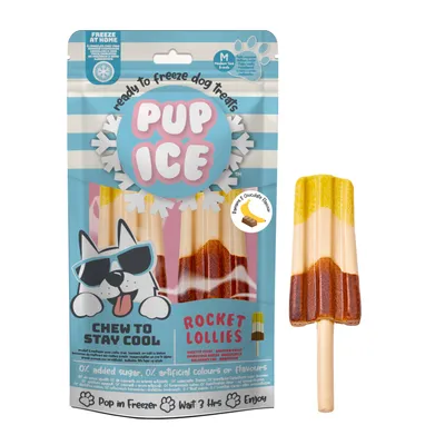 Pup Ice Dog Snack Rocket Lollies "M" 1 x2 Stück