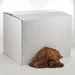 Canius Schweineohren 45-50g