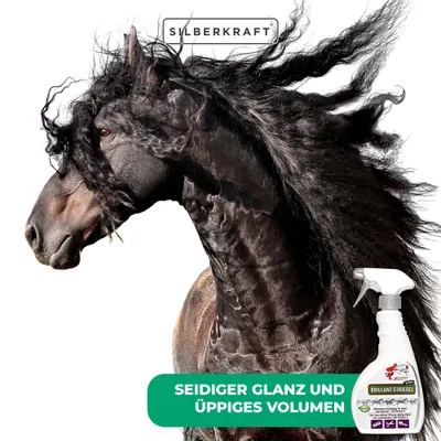 Schopf Riders Shine Brillant Striegel – Glanzspray für Fell, Mähne, Schweif Schopf Riders Shine Brillant Striegel – Glanzspray für Fell, Mähne, Schweif