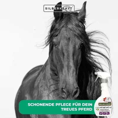 Schopf Riders Shine Brillant Striegel – Glanzspray für Fell, Mähne, Schweif Schopf Riders Shine Brillant Striegel – Glanzspray für Fell, Mähne, Schweif