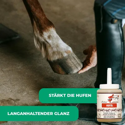 Schopf Riders Protect Huföl mit Pinsel – Hufpflege für Pferde Schopf Riders Protect Huföl mit Pinsel – Hufpflege für Pferde