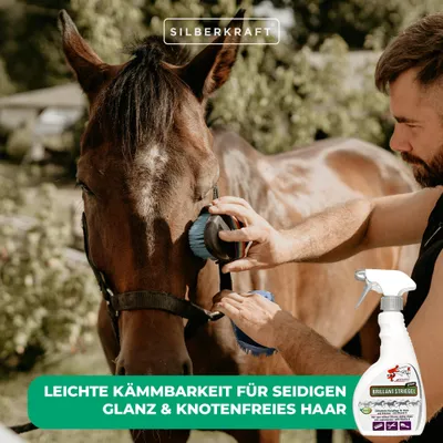 Schopf Riders Shine Brillant Striegel – Glanzspray für Fell, Mähne, Schweif Schopf Riders Shine Brillant Striegel – Glanzspray für Fell, Mähne, Schweif