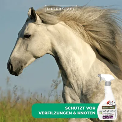 Schopf Riders Shine Brillant Striegel – Glanzspray für Fell, Mähne, Schweif Schopf Riders Shine Brillant Striegel – Glanzspray für Fell, Mähne, Schweif