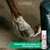 Schopf Riders Pedicid Strahlschutz Spray – Huf- und Strahlpflege