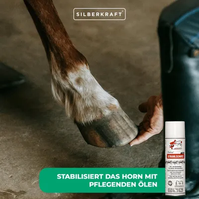 Schopf Riders Pedicid Strahlschutz Spray – Huf- und Strahlpflege