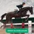 Schopf Riders Pedicid Strahlschutz Spray – Huf- und Strahlpflege