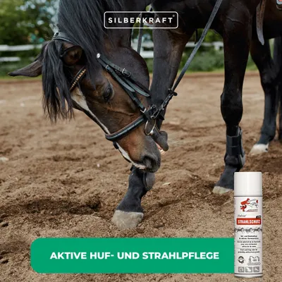 Schopf Riders Pedicid Strahlschutz Spray – Huf- und Strahlpflege