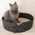 Canadian Cat Company Katzenbett OWEN Canadian Cat Company Katzenbett OWEN