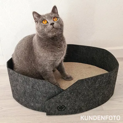 Canadian Cat Company Katzenbett OWEN Canadian Cat Company Katzenbett OWEN