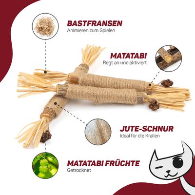 Canadian Cat Company Katzenspielzeug Katzenminze
