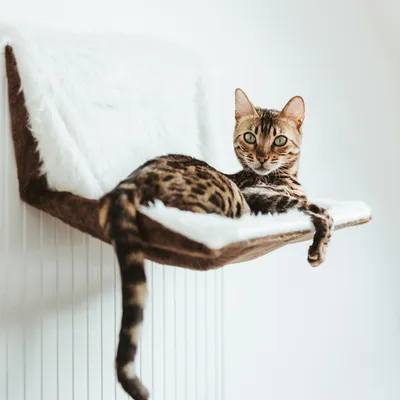Canadian Cat Company Liegemulde Langhaar für Heizkörper
