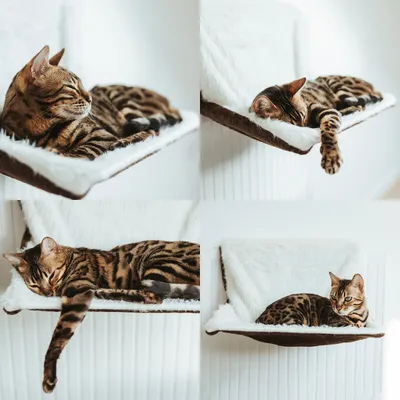 Canadian Cat Company Liegemulde Langhaar für Heizkörper