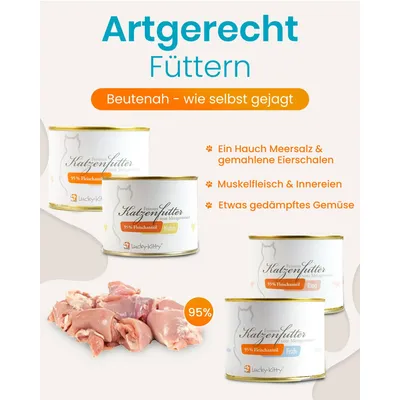 Lucky-Kitty Sparpaket Lucky-Kitty Sparpaket
