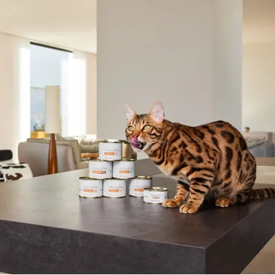 Lucky-Kitty Katzenfutter