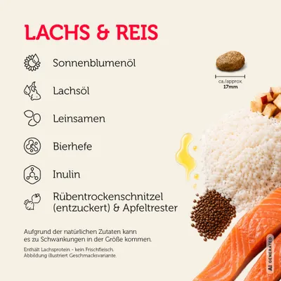 Mera Hundefutter Lachs & Reis Trocken Mera Hundefutter Lachs & Reis Trocken