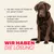 Mera Hundefutter Insect Protein Trocken