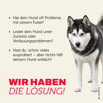 Mera Hundefutter Adult Rind & Kartoffel