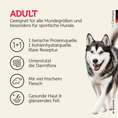Mera Hundefutter Adult Rind & Kartoffel