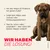 Mera Hundefutter Junior Truthahn & Reis Mera Hundefutter Junior Truthahn & Reis