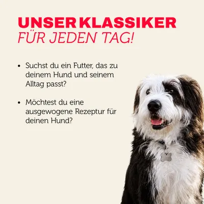 Mera Hundefutter Trocken mit Rind
