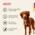 Mera Hundefutter Trocken mit Geflügel Mera Hundefutter Trocken mit Geflügel