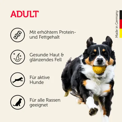 Mera Hundefutter softdiner Trocken Mera Hundefutter softdiner Trocken