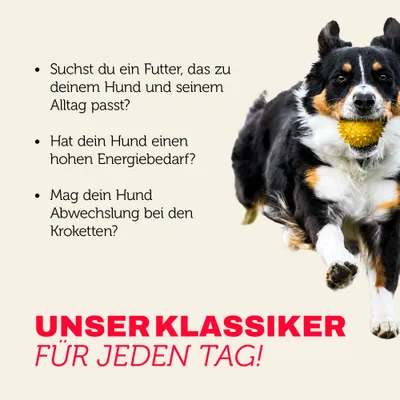 Mera Hundefutter softdiner Trocken