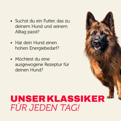Mera Hundefutter active Trocken