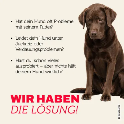 Mera Hundefutter Lamm & Reis Trocken