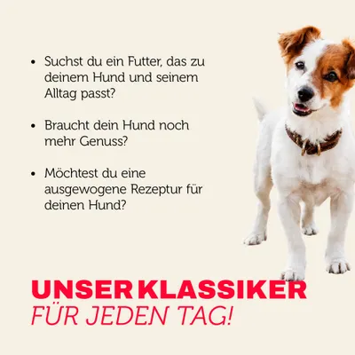 Mera Hundefutter univit mix menü Trocken