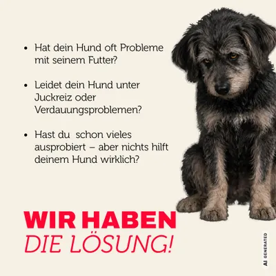 Mera Hundefutter Senior Truthahn & Reis