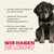 Mera Hundefutter Senior Truthahn & Reis
