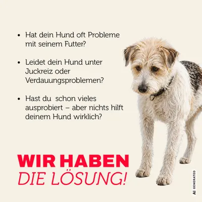 Mera Hundefutter Mini Truthahn & Reis
