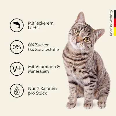 Mera Katzenleckerlis Crunch & Soft Lachs
