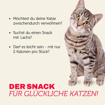Mera Katzenleckerlis Crunch & Soft Lachs