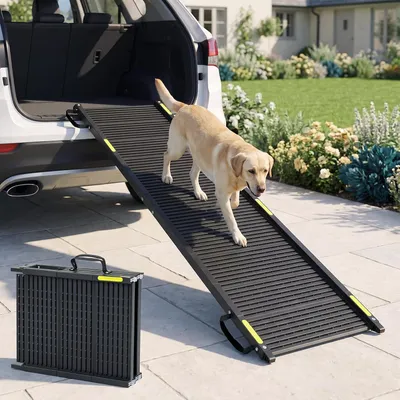 GIANTEX Rampe Accès Voiture pour Chien 164 X 41 CM, Charge 100 KG