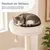 GIANTEX Arbre a Chat Hauteur 150CM en Housse Peluche Lavable Intérieur GIANTEX Arbre a Chat Hauteur 150CM en Housse Peluche Lavable Intérieur