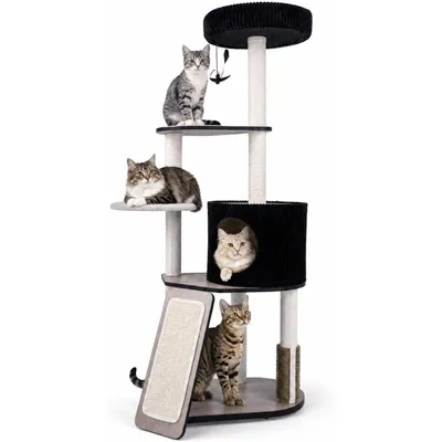 GIANTEX Arbre à Chat en Bois 155 CM, 3 Plateforme, Conception Multicouche