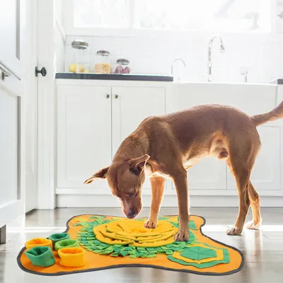 Nobleza Alfombra Olfativa Juego de Inteligencia para Perros Nobleza Alfombra Olfativa Juego de Inteligencia para Perros
