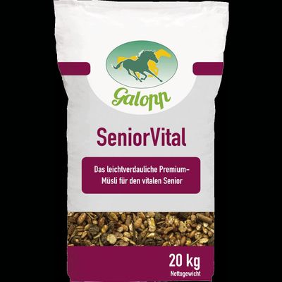 Galopp SeniorVital