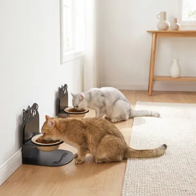 PawHut Erhöhter Futternapf