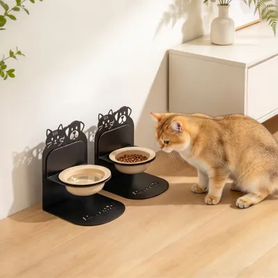 PawHut Erhöhter Futternapf