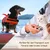 GarPet Transportbox Hunde Katzen Kaninchen Hundebox Katzenbox GarPet Transportbox Hunde Katzen Kaninchen Hundebox Katzenbox