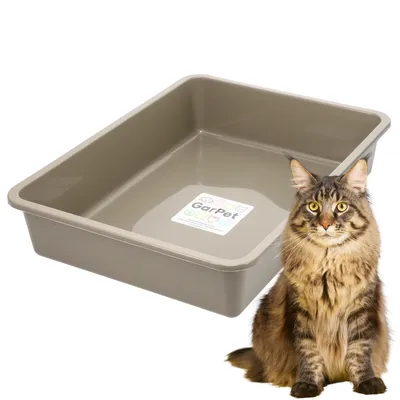GarPet Katzenklo ohne Deckel Katzentoilette Offen Eckig Katzen Klo GarPet Katzenklo ohne Deckel Katzentoilette Offen Eckig Katzen Klo