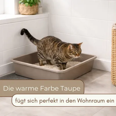 GarPet Katzenklo ohne Deckel Katzentoilette Offen Eckig Katzen Klo