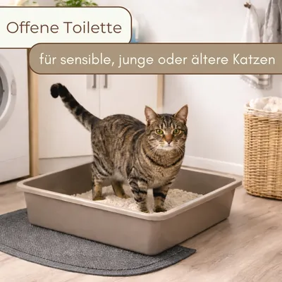 GarPet Katzenklo ohne Deckel Katzentoilette Offen Eckig Katzen Klo
