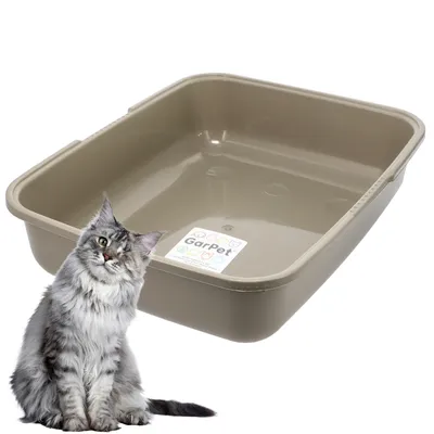 GarPet Katzenklo ohne Deckel Katzentoilette Offen Eckig Katzen Klo GarPet Katzenklo ohne Deckel Katzentoilette Offen Eckig Katzen Klo